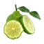 Bergamot