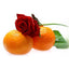 Rose, Mandarin