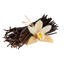 Vanilla