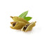 Cardamom