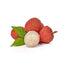 Litchi