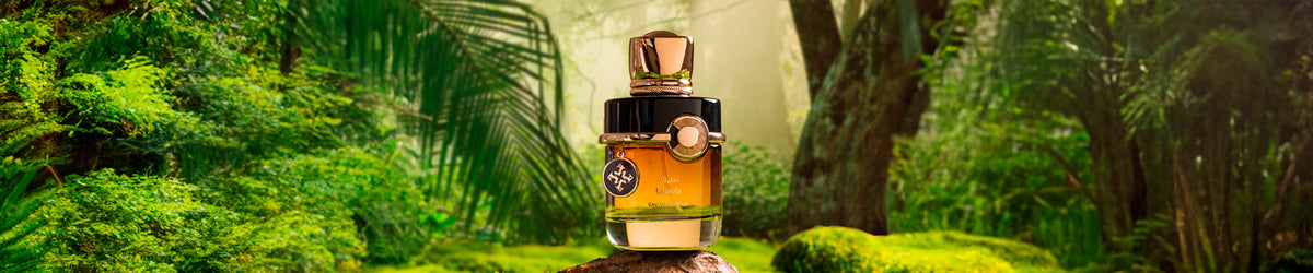 Oud Collection