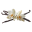 Vanilla